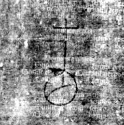 DE5580-2Incca2902_a2