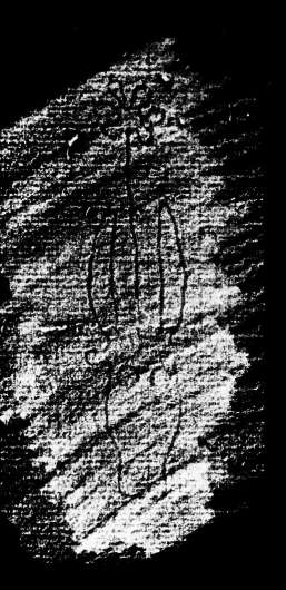 DE4860-Ms991_15