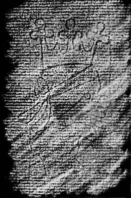 DE4860-Ms418_156