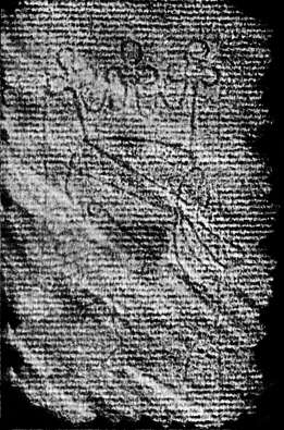 DE4860-Ms418_156