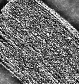DE0960-2Inc2168_92