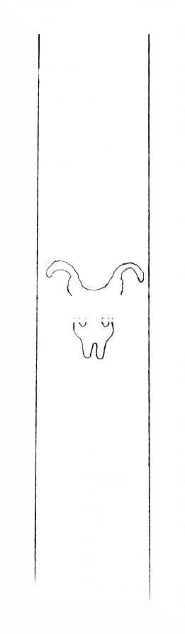 DE8310-Mc103_156