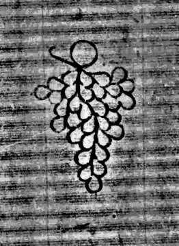 DE0960-Mlf246_49