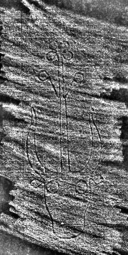 DE7260-Mss.theol.43_13