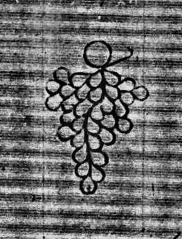 DE0960-Mlf246_82