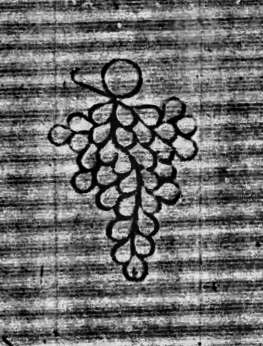 DE0960-Mlf246_82