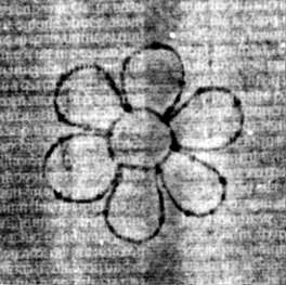 DE5580-2Incca1920b_b1