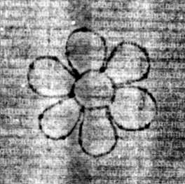 DE5580-2Incca1920b_b1