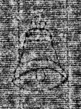 DE0960-Mgf922_34
