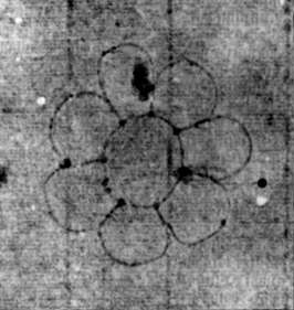 DE5580-2Incca1022_c4