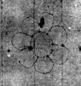 DE5580-2Incca1022_c4