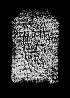DE4860-Ms550_242