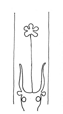 DE4860-Ms768_179