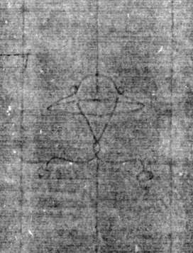 DE0960-Mtlf550_33