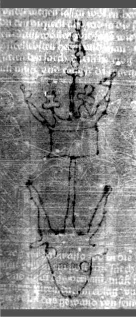 DE5580-2Incca1067_h7