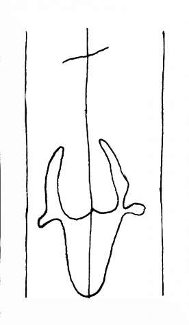 DE4200-StBlasien96_7