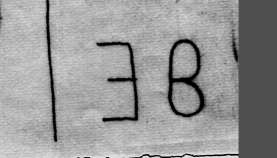 DE5580-Codgraec64_250
