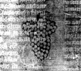 DE5580-2Incca1107_z8