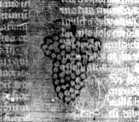 DE5580-2Incca1107_z8