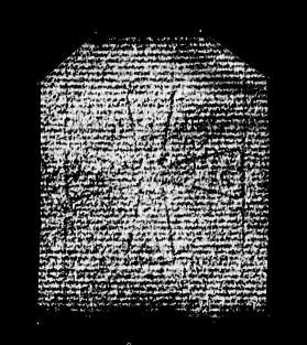 DE4860-Ms591_5