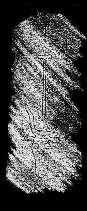 DE4860-Ms601_115