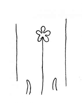 DE4860-Ms800_121