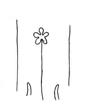 DE4860-Ms800_121