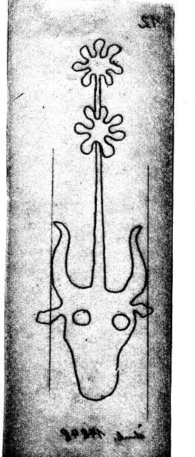 DE4860-Ms855_1