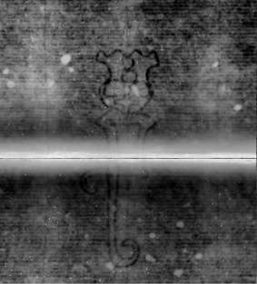 DE5580-Musms1537Altus_41