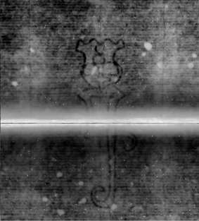 DE5580-Musms1537Altus_41