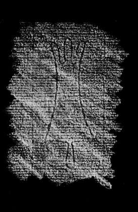 DE4860-Ms418_363
