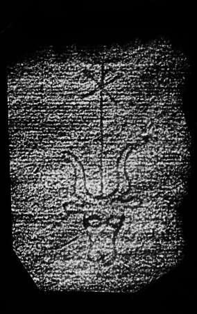 DE4860-Ms541_260