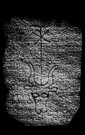 DE4860-Ms541_260