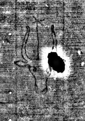 DE0960-Mlf387_I