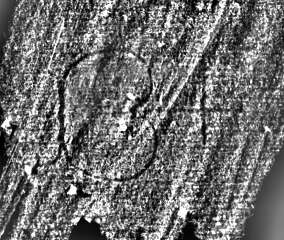 DE0960-2Inc2119_2