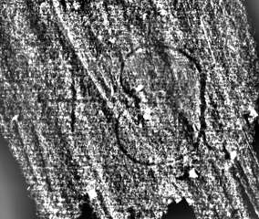 DE0960-2Inc2119_2
