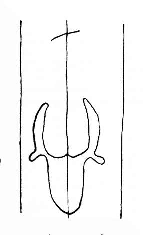 DE4200-StBlasien96_135