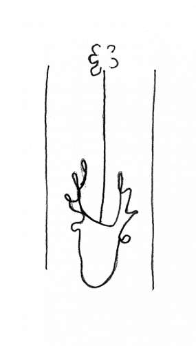DE4860-Ms974_83