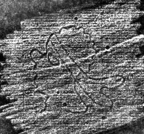DE0960-Mm89_225