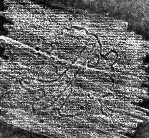 DE0960-Mm89_225