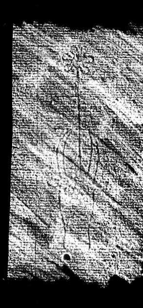 DE4860-Ms297_2