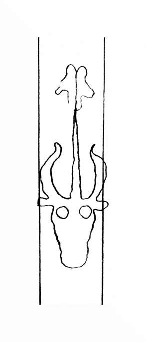 DE8310-Mc120_49