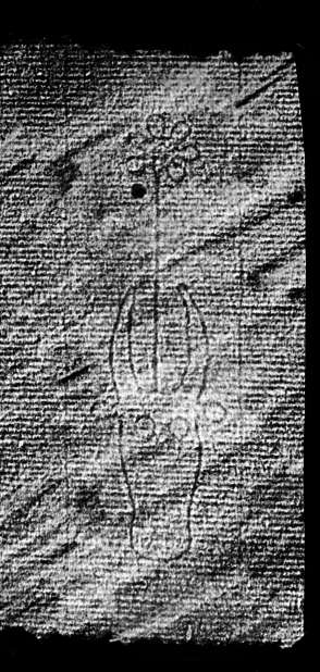 DE4860-Ms297_7