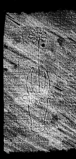 DE4860-Ms297_7