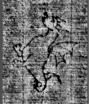 DE0960-Mgf922_50