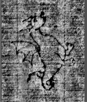 DE0960-Mgf922_50