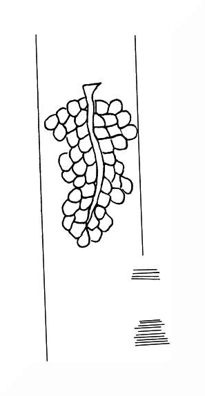 DE8310-Mc6_365