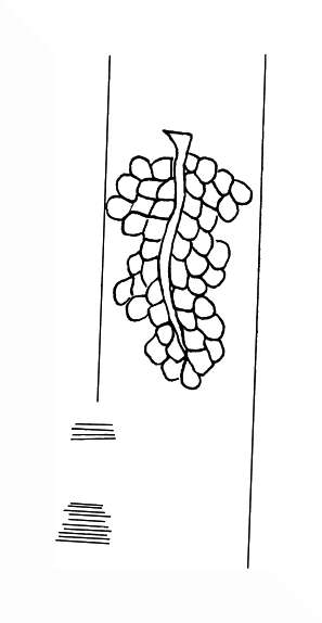 DE8310-Mc6_365