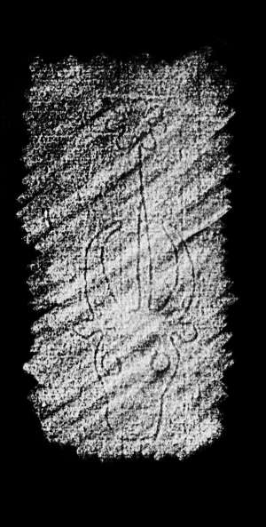 DE4860-Ms509_340