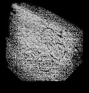 DE4860-Ms541_315